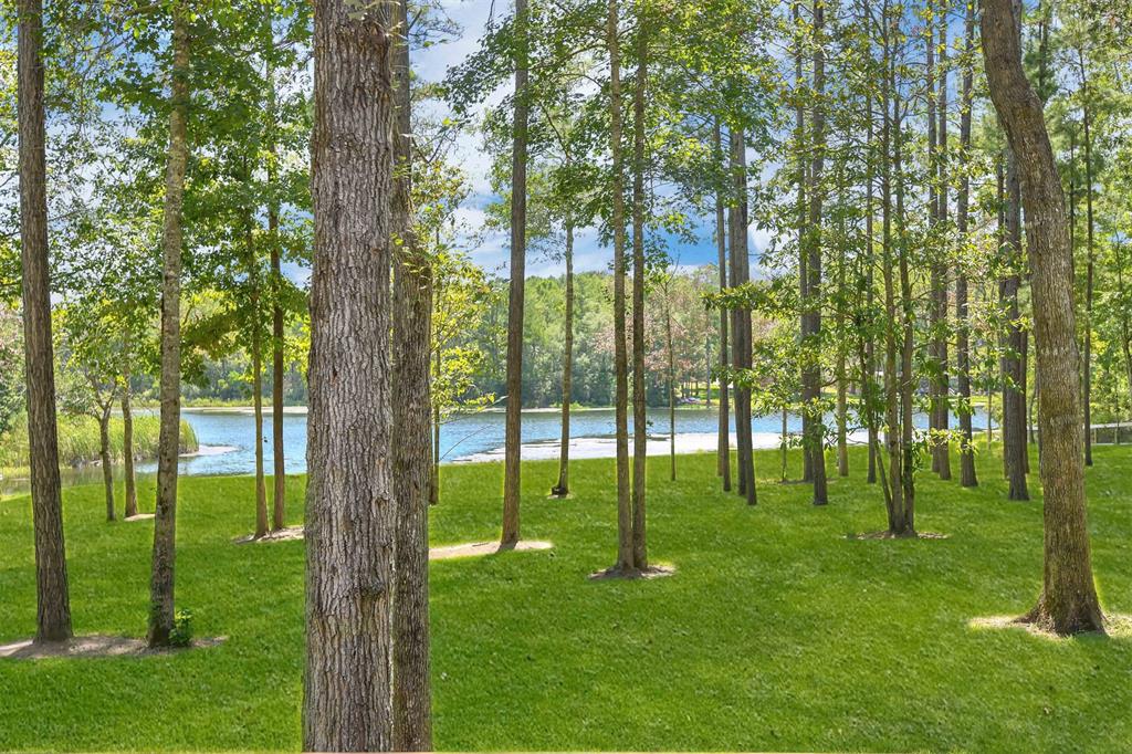 612 Tall Timber Drive, Goodrich, Texas image 44