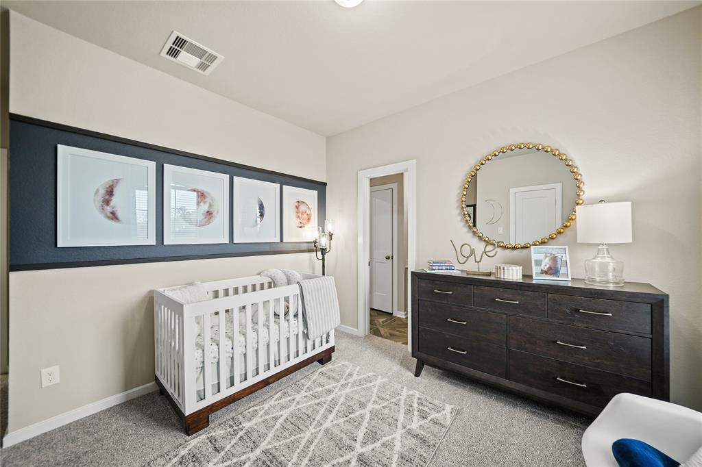 21234 Black Gap Wildlife Drive, Cypress, Texas image 27