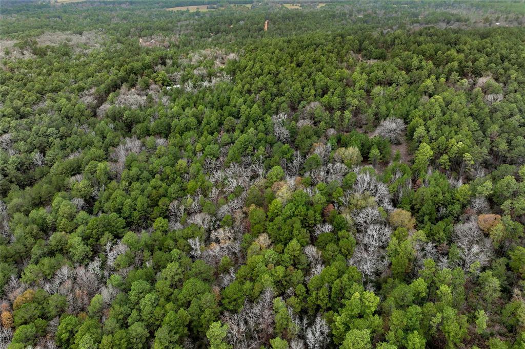 TBD County Road 2096, Crockett, Texas image 16