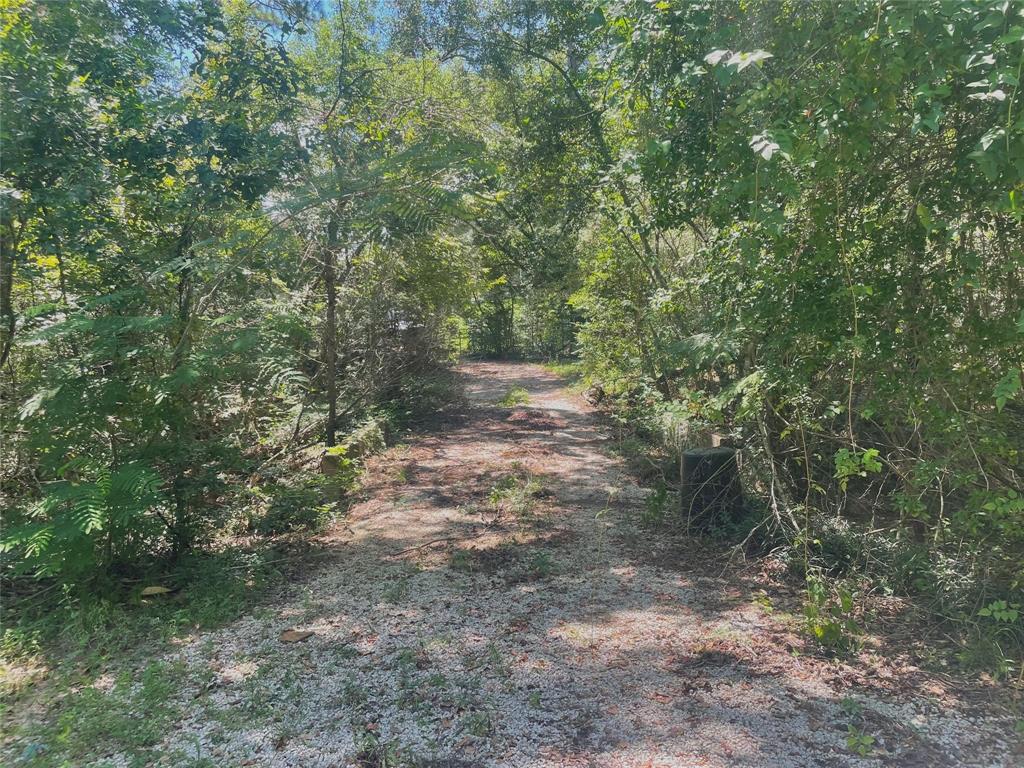 20025 Heights Blvd Blvd, New Caney, Texas image 4