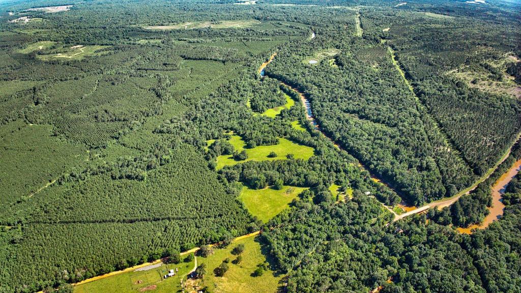 2632 County Road 789, Douglass, Texas image 11