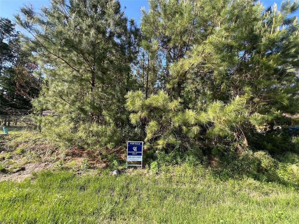 229 County Road 3479a, Cleveland, Texas image 2