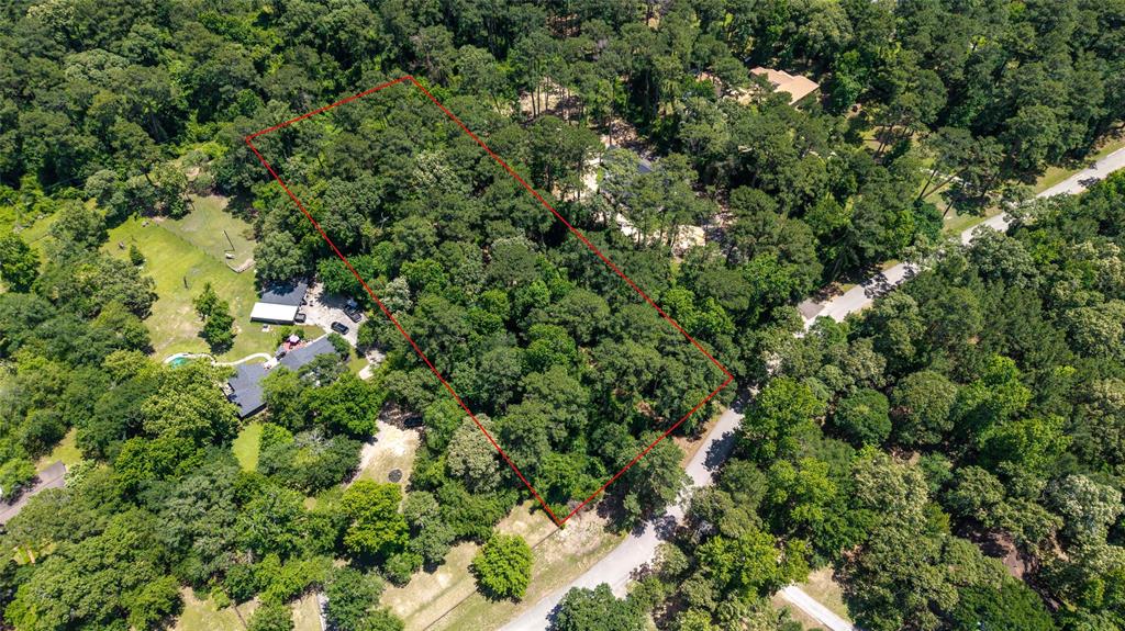 23212 Cardinal Drive, Hockley, Texas image 1