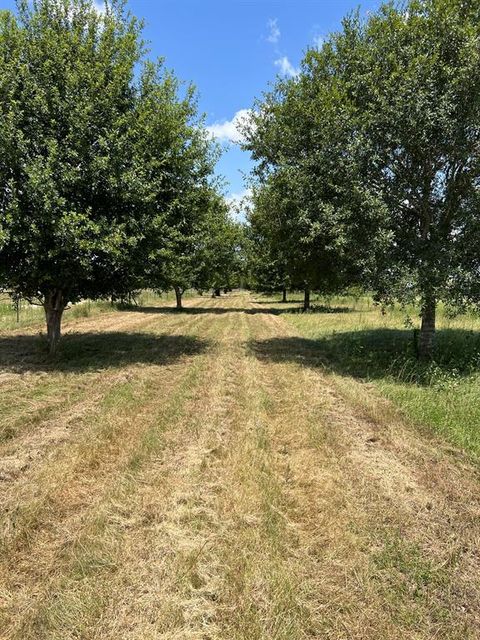 Photo of 6998 Neiman Road, Brookshire, TX 77423 (MLS # 47288962) Photo of 6998 Neiman Road, Brookshire, TX 77423 (MLS # 47288962)