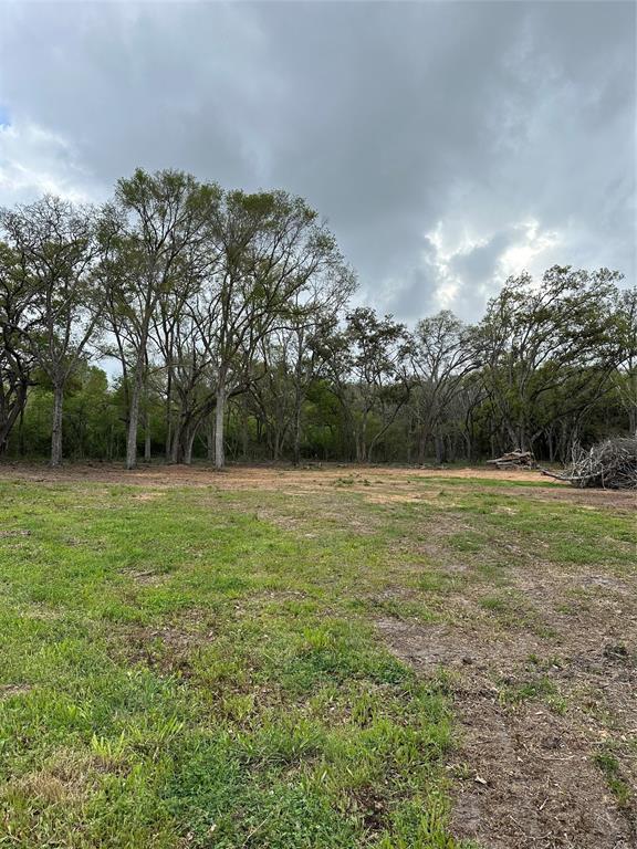 Cr-567, Rosharon, Texas image 9