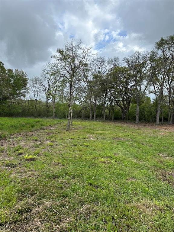 Cr-567, Rosharon, Texas image 7