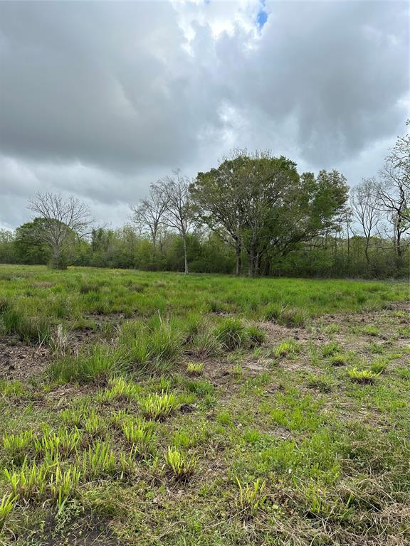 Cr-567, Rosharon, Texas image 8