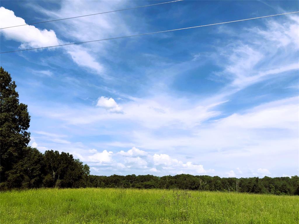 300 Buckhorn Creek Trail Trail, Crockett, Texas image 1