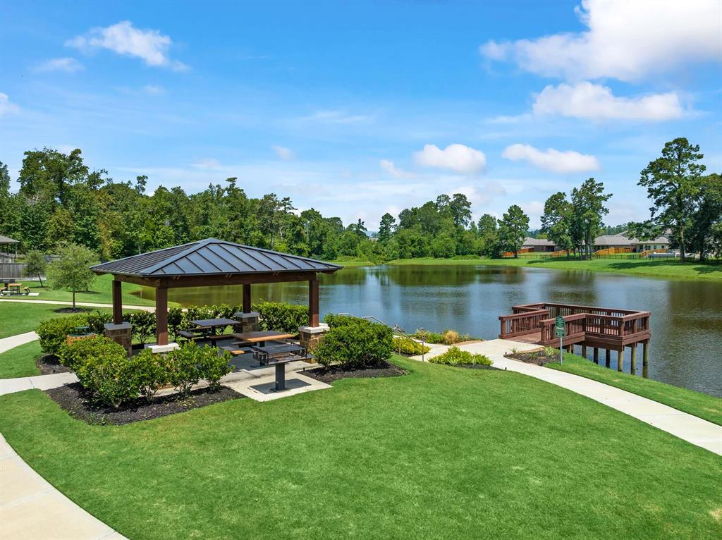 8450 Sweet Cherry Lane, Magnolia, Texas image 9