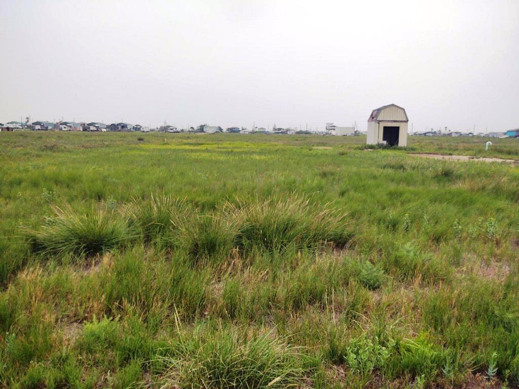 226 Terrapin Street, Sargent, Texas image 7