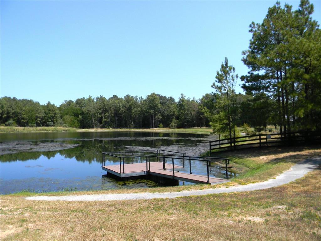 31643 Stone Bridge Parkway, Waller, Texas image 9