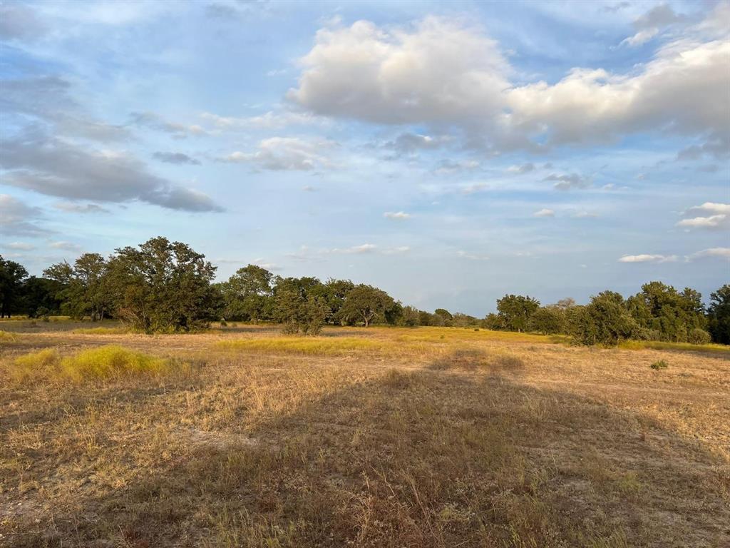 TBD Lot 5 County Road 340 Road, Burnet, Texas image 1