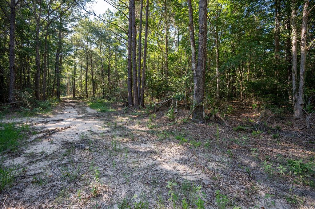 Tbd Cr  3000, Woodville, Texas image 6