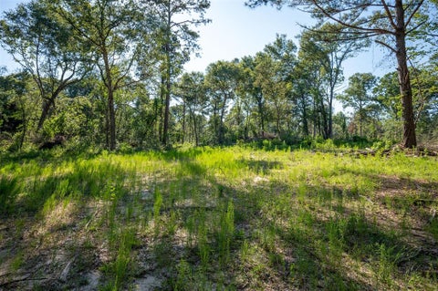 Vacant Land For Sale - TBD Cr  3000<br/> Woodville, TX 75979