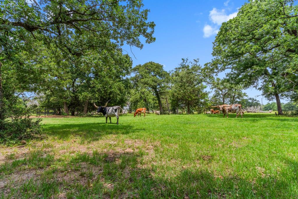 4282 Happy Haven Lane, Midway, Texas image 46