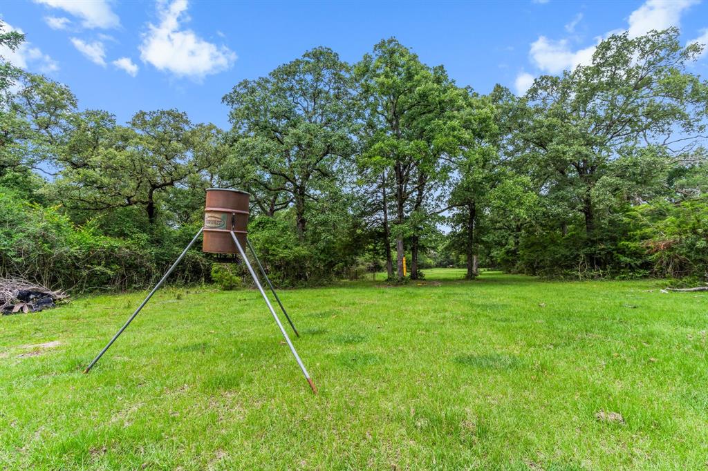 4282 Happy Haven Lane, Midway, Texas image 44