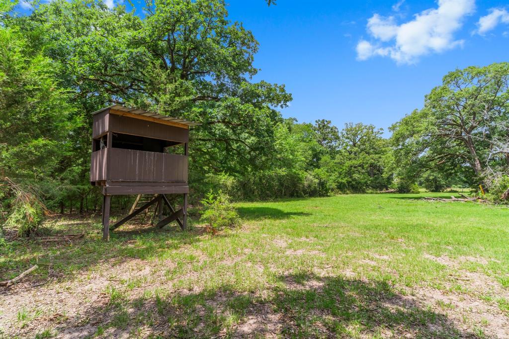 4282 Happy Haven Lane, Midway, Texas image 43