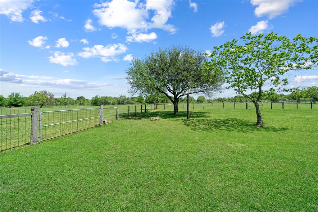29019 Teal Road, Hockley, Texas image 32