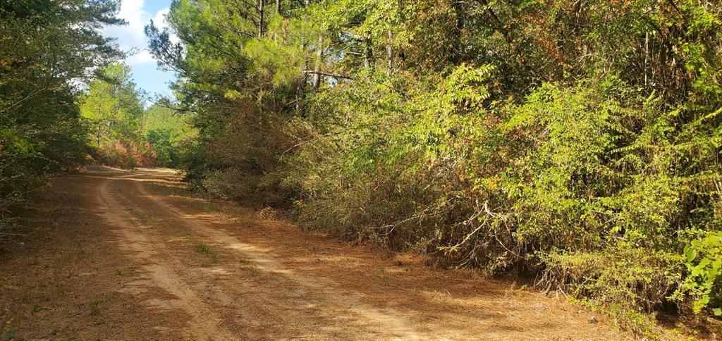 Lot 26 & 27 Eagle Drive, Hempstead, Texas image 18