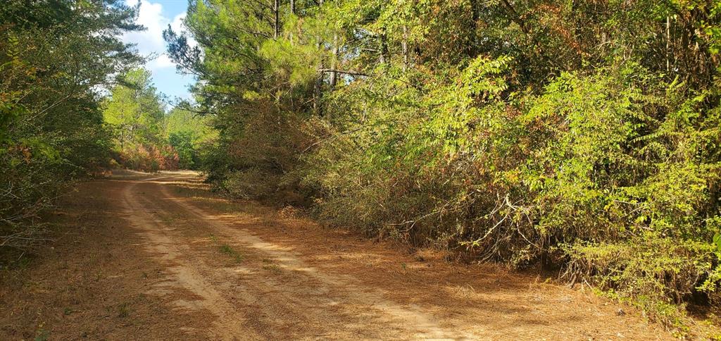 Lot 26 & 27 Eagle Drive, Hempstead, Texas image 17