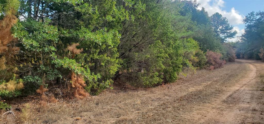 Lot 26 & 27 Eagle Drive, Hempstead, Texas image 12