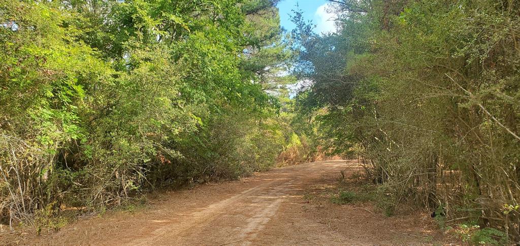 Lot 26 & 27 Eagle Drive, Hempstead, Texas image 14