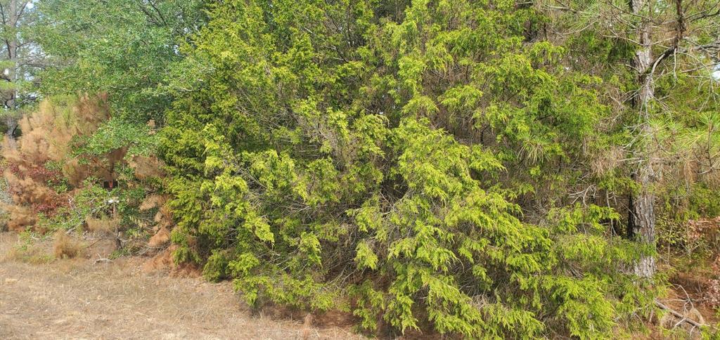 Lot 26 & 27 Eagle Drive, Hempstead, Texas image 10