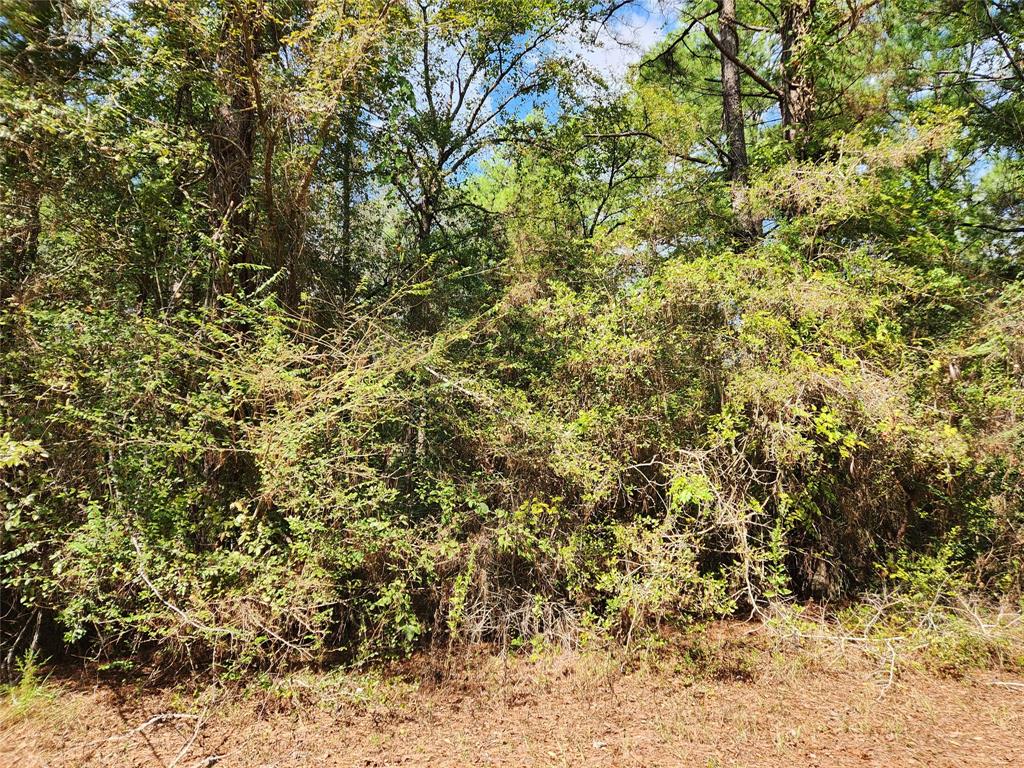 Lot 26 & 27 Eagle Drive, Hempstead, Texas image 4
