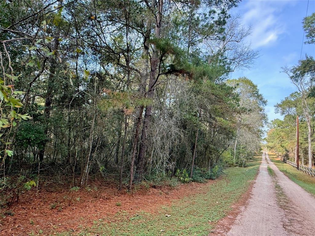 0 Serendipity Trail