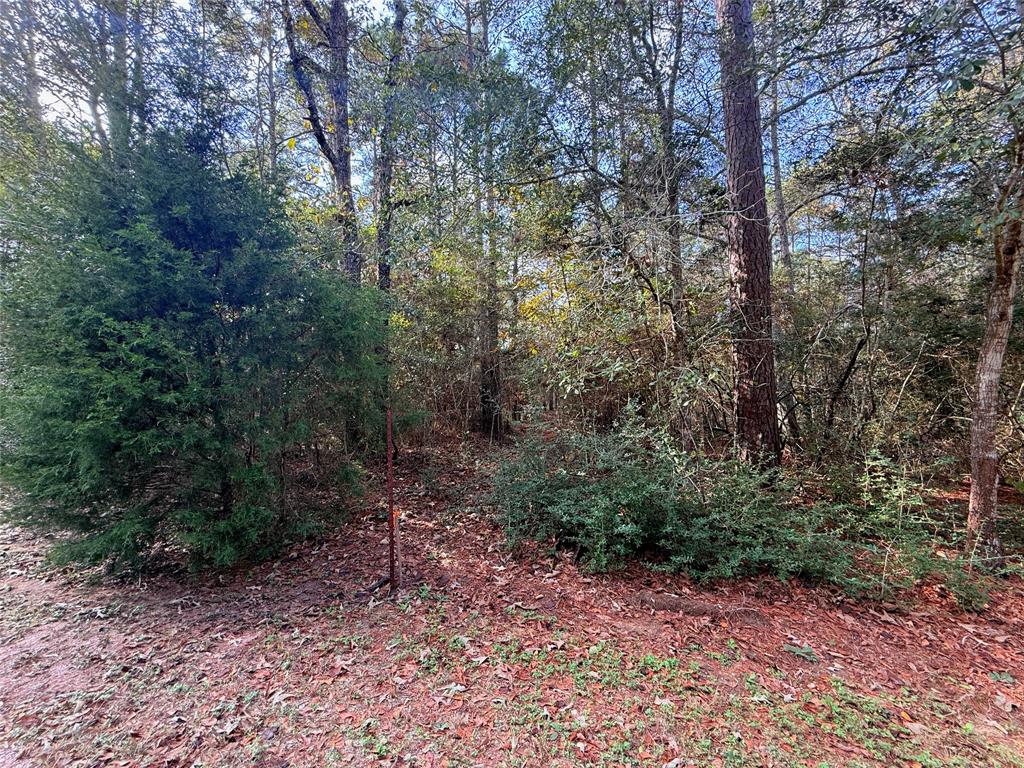 0 Serendipity Trail