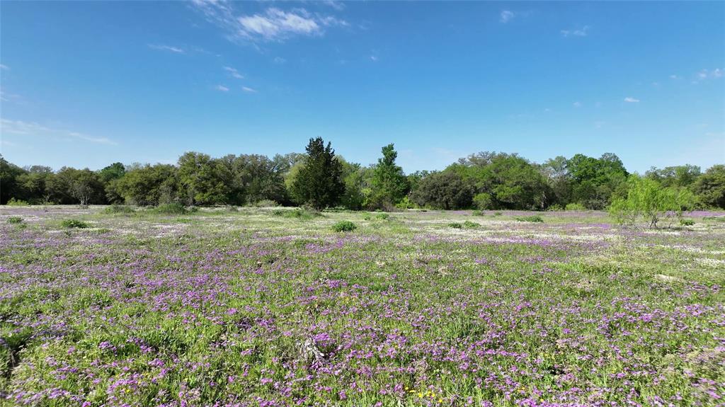 County Road 127, Giddings, Texas image 27