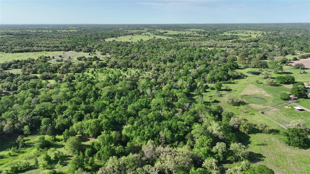 County Road 127, Giddings, Texas image 5