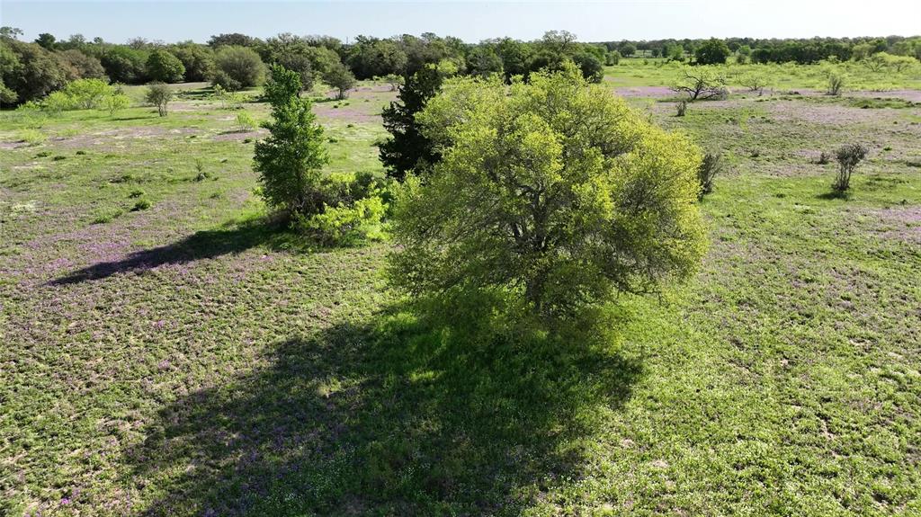 County Road 127, Giddings, Texas image 25