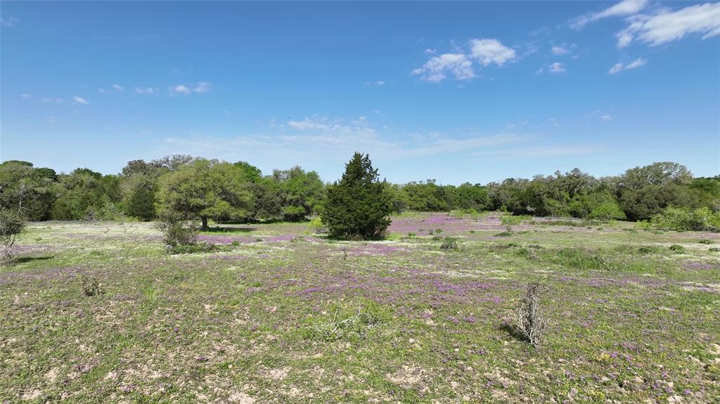 County Road 127, Giddings, Texas image 26