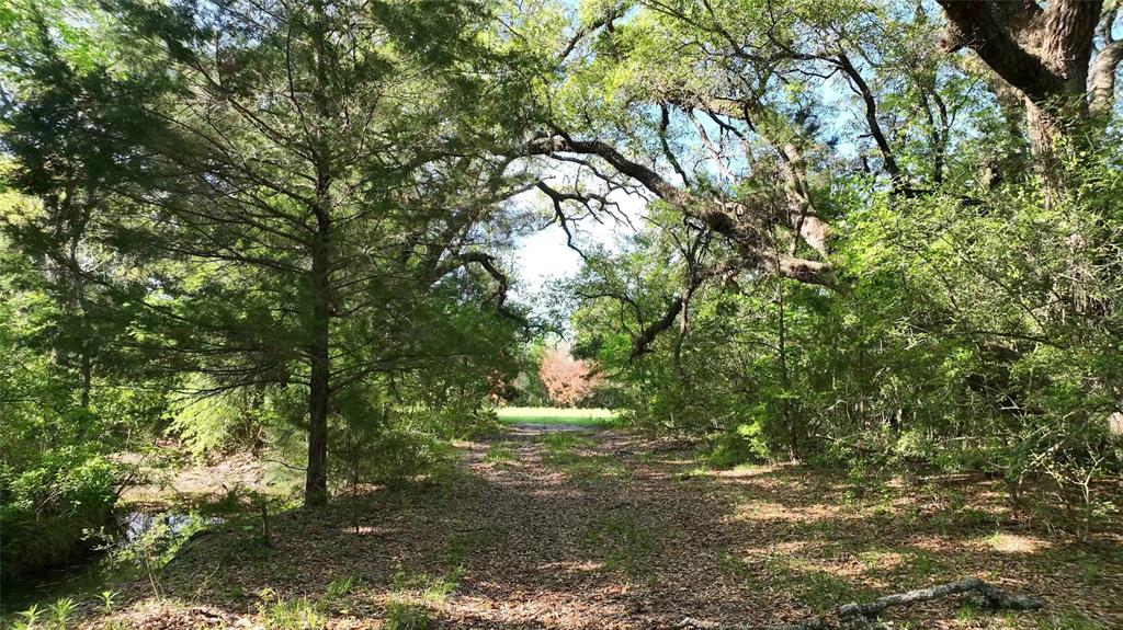 County Road 127, Giddings, Texas image 33