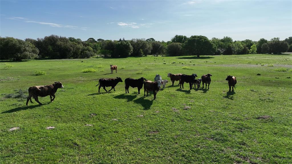 County Road 127, Giddings, Texas image 13