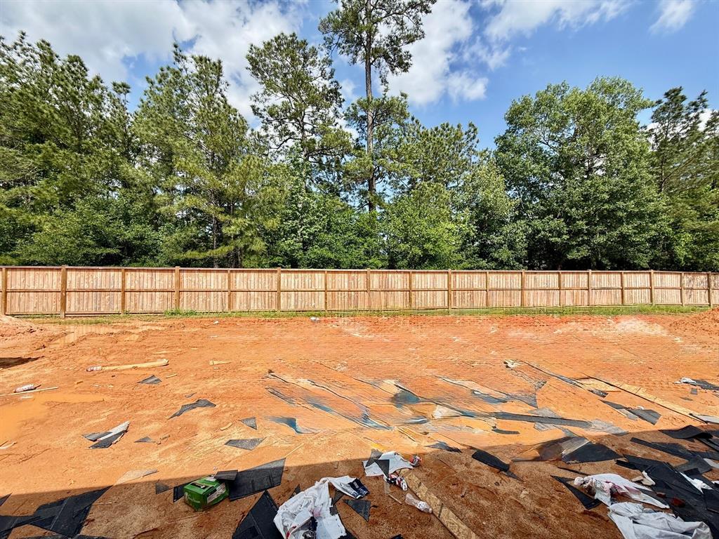 214 Springfield Terrace Court, Conroe, Texas image 5