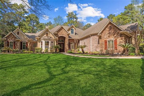 29512 Sky Forest Circle Magnolia TX 77355