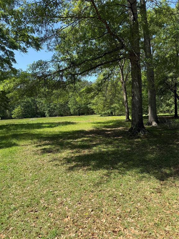 11480 Amber Park Drive, Conroe, Texas image 11