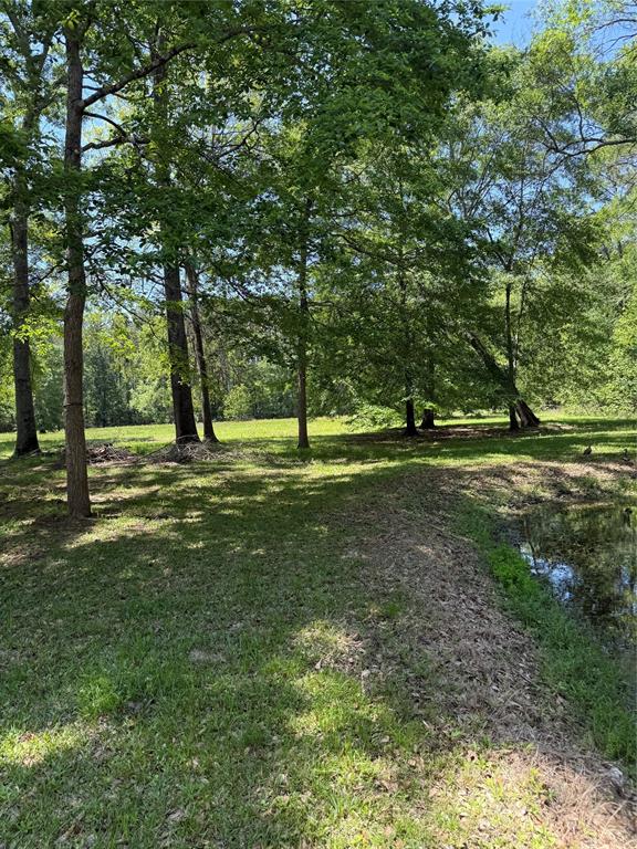 11480 Amber Park Drive, Conroe, Texas image 6