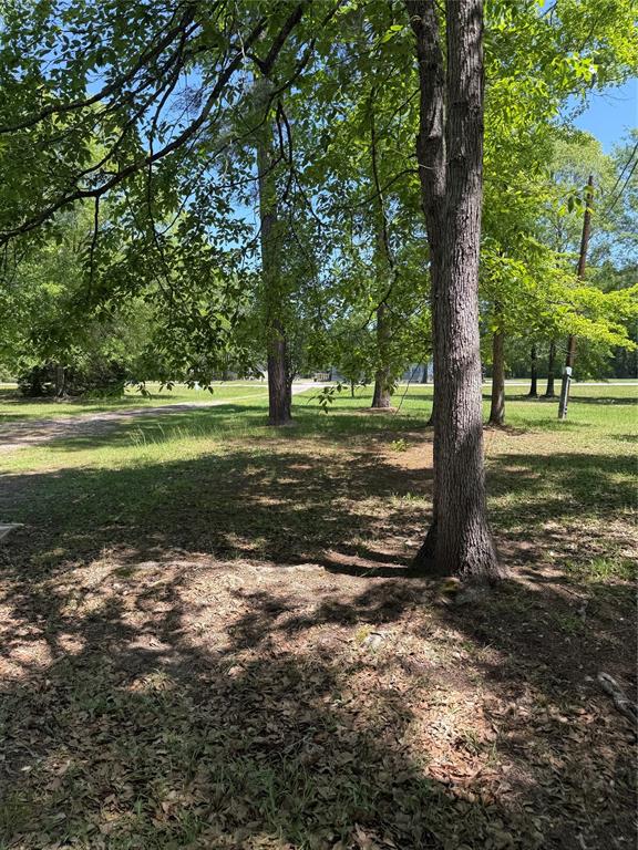 11480 Amber Park Drive, Conroe, Texas image 9