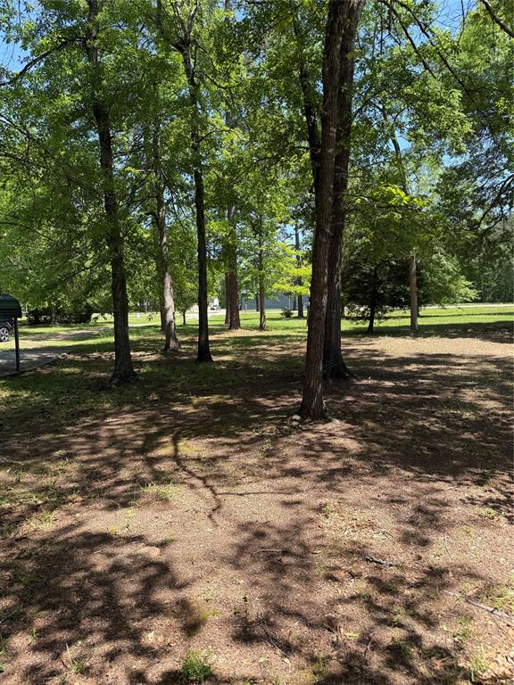 11480 Amber Park Drive, Conroe, Texas image 10