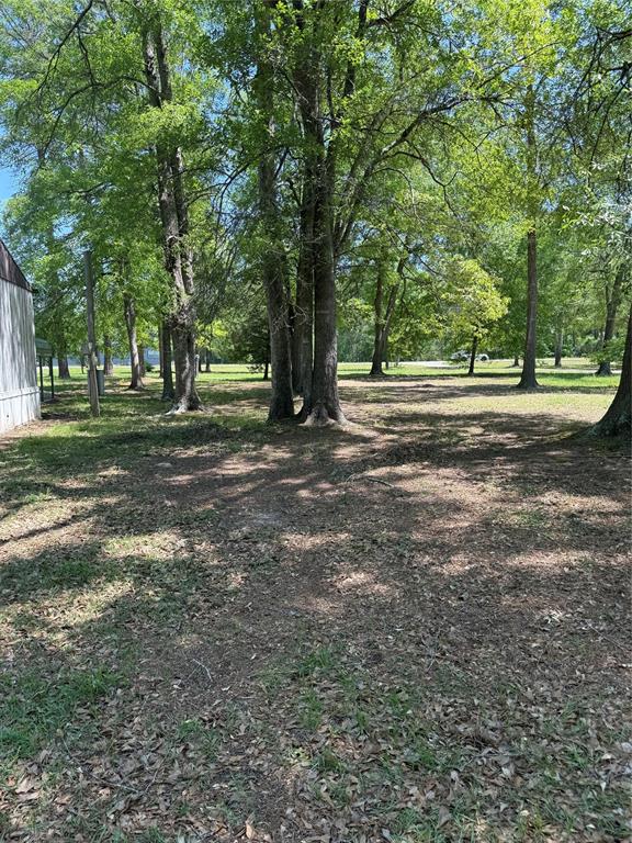 11480 Amber Park Drive, Conroe, Texas image 1