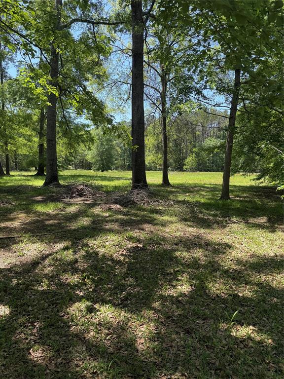 11480 Amber Park Drive, Conroe, Texas image 7