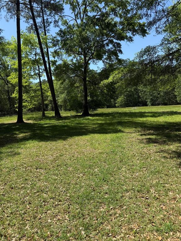 11480 Amber Park Drive, Conroe, Texas image 8