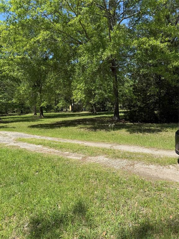 11480 Amber Park Drive, Conroe, Texas image 12