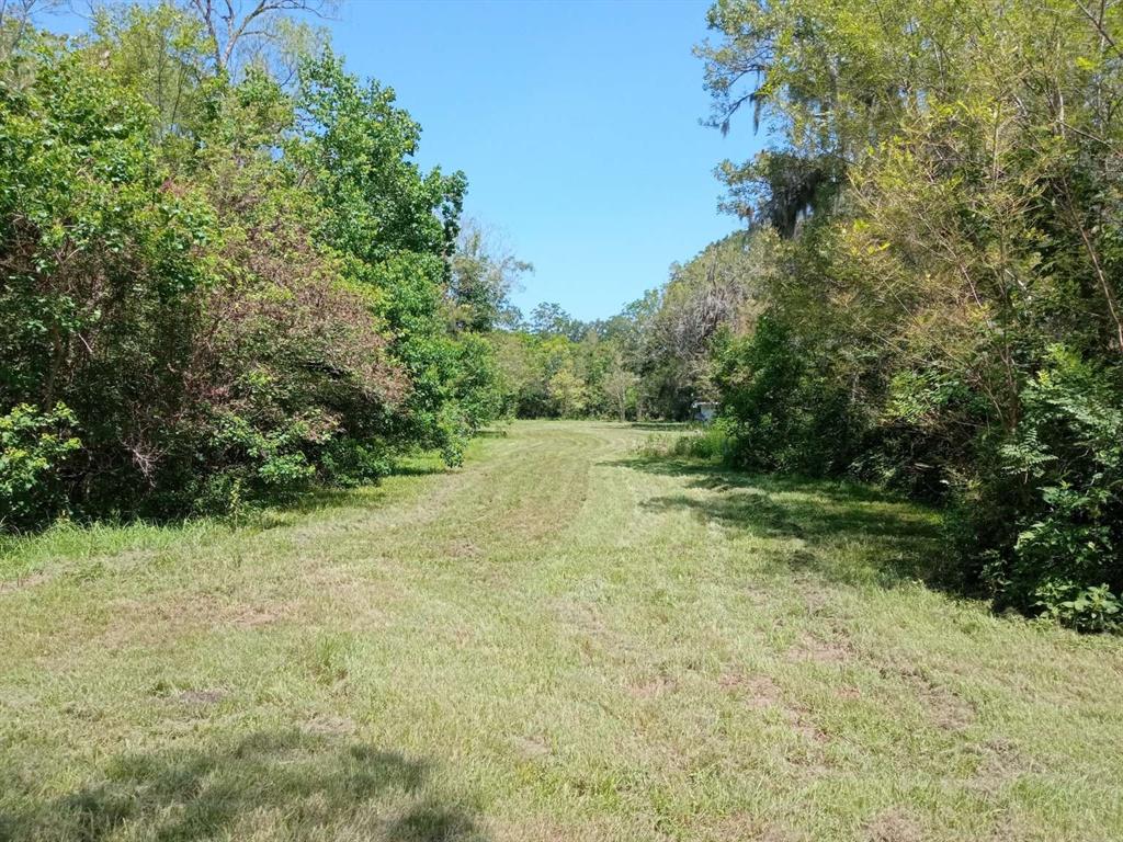 17628 County Road 426, Brazoria, Texas image 10