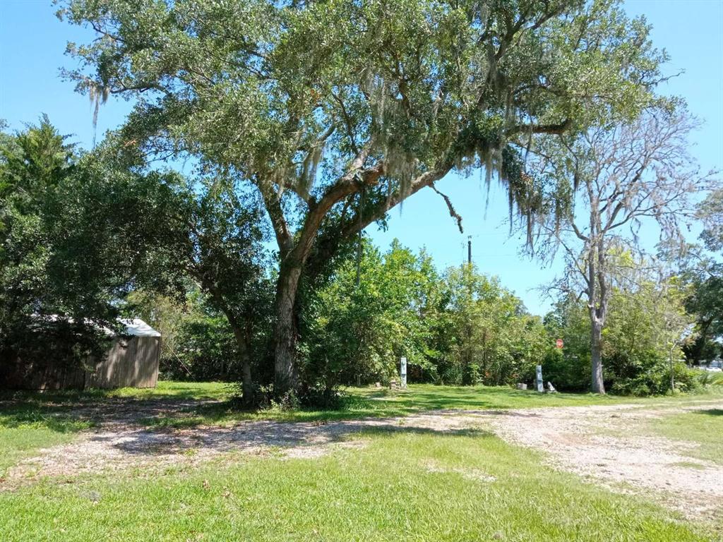 17628 County Road 426, Brazoria, Texas image 2