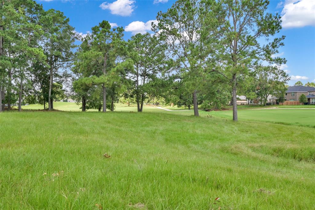 10719 Winding Green Drive, Humble, Texas image 48