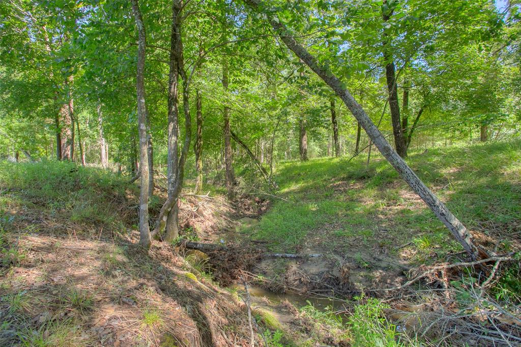 71 Bird Farm Road, Huntsville, Texas image 40